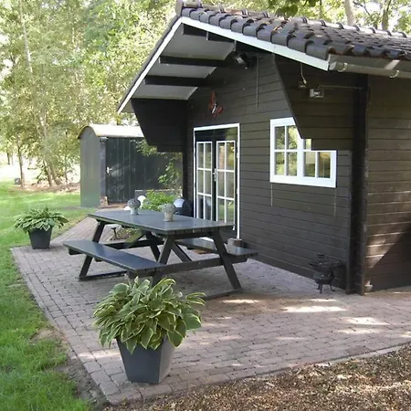 Blokhut De Vlinder Gelegen Nabij Het Pieterpad Villa Coevorden Exterior photo