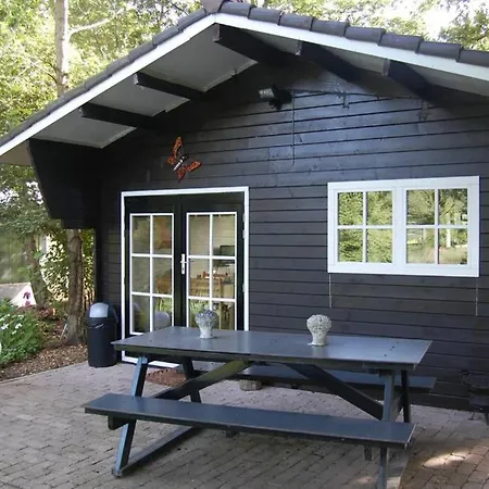 Blokhut De Vlinder Gelegen Nabij Het Pieterpad Villa Coevorden Exterior photo