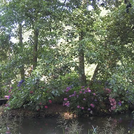 Blokhut De Vlinder Gelegen Nabij Het Pieterpad Villa Coevorden Exterior photo