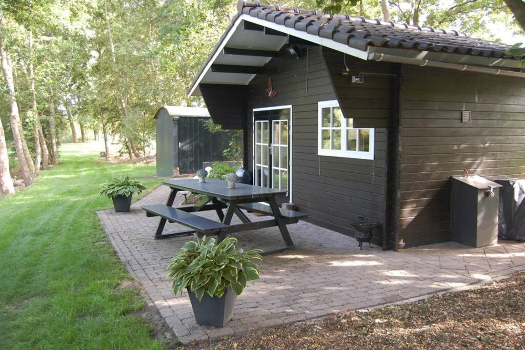 Blokhut De Vlinder Gelegen Aan Het Pieterpad Chalet Coevorden