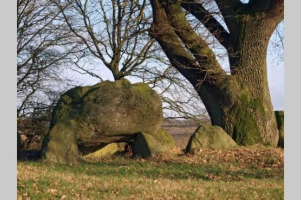 Blokhut De Vlinder Gelegen Aan Het Pieterpad Chalet *