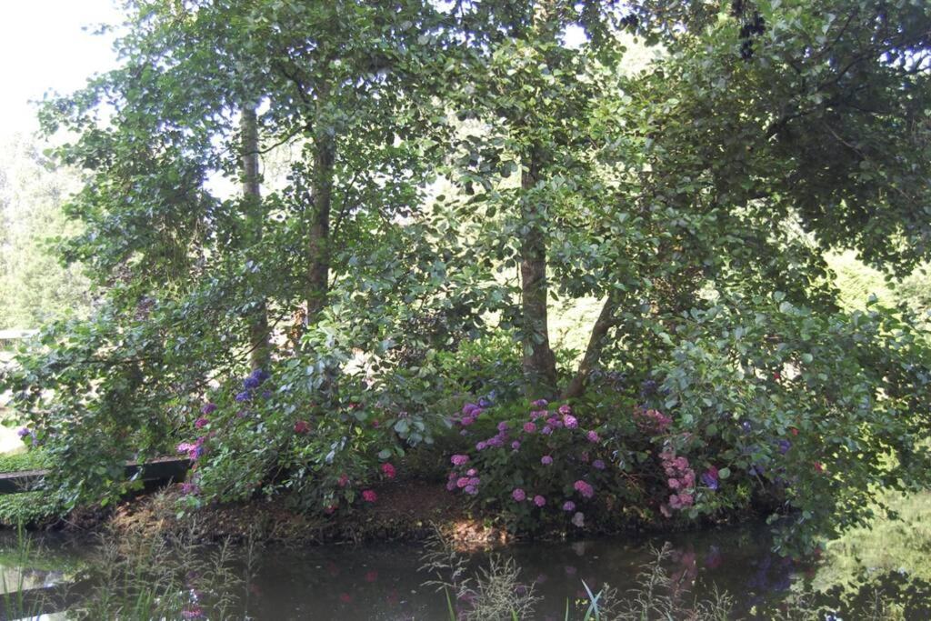 Chalet Blokhut De Vlinder Gelegen Aan Het Pieterpad *